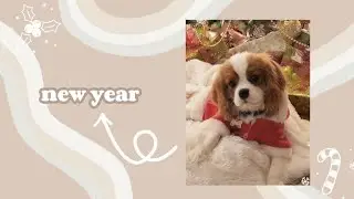new year