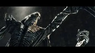 DARK SOULS II: Robbes vs Nashandra