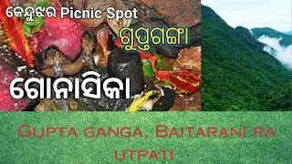 Gonasika(ଗୋନାସିକା)- Origin of Baitarani River | Gupta Ganga | #gonasika