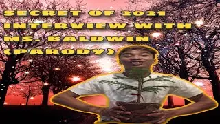 Secret of 2021 Scriptman present the interview with Ms. Baldwin (Parody)