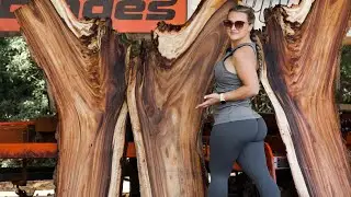 An Ugly Log With A Good Heart...You Won't Believe What The Inside Looks Like!
