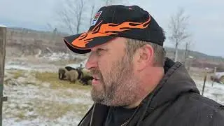 December 6, 2023 Hogs Have Arrived