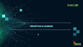 Exploring Phiro.ai's Perception & Learning Abilities
