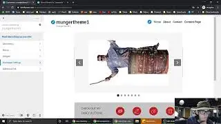 CMS-Wordpress 11/10