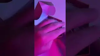 самая настоящая шоколадная лягушка 🐸
