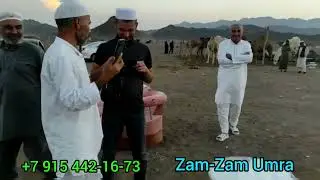ШИРИ ШУТУР ДАР МЕКА ВА МАДИНА 🤲🕋