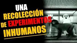 Una RECOLECCIÓN de EXPERIMENTOS INHUMANOS.