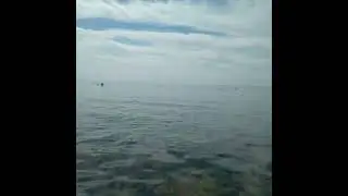 рыбки в Евпатории, в центре города.