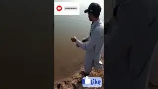 #fishingtips