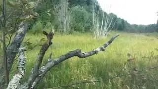 Сталк #1 "Заброшенный поселок" Часть 1.