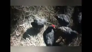 ОПЯТЬ НОВОСЕЛЬЕ 😉👍❤️