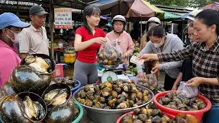 Thousands of Snails Found After Rice Crop! Harvesting & Selling at Village Market