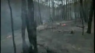 El total es lo que cuenta: Fuego (con subs)