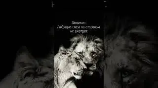 5 июля 2024 г.