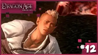 Let's Play Dragon Age Origins (Part 12)