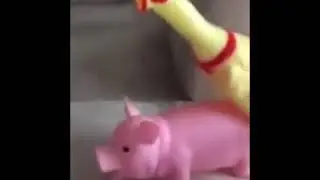 Domuz çiftleşmesi