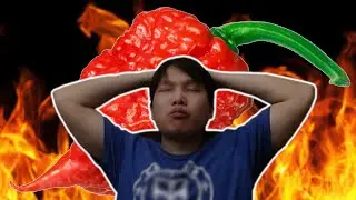 Eating A Carolina Reaper Was a Mistake