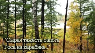 Осень роса на карабине