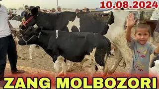 SIGIRLARDI ZO'RLARI CHIQDI SURXONDARYO MUZRABOT ZANG MOLBOZORI 10.08.2024