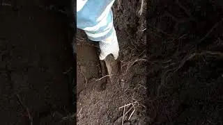 ОТКОПАЛИ РЕЛЬСУ