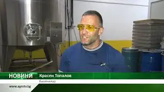 ПЧЕЛИНИТЕ НА БЪЛГАРИЯ: В стопанството на Красен Топалов