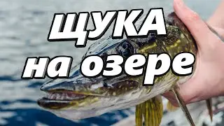 Рыбалка на Щуку и Окуня.