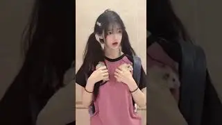 hamster lucu 