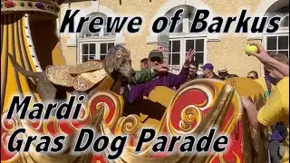 Mardi Gras Krewe of Barkus - Parade of Costumed Dogs in New Orleans's French Quarter