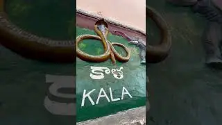 #srikalahastitemple #srikalahasti #chagantikoteswararao #shivoham #youtubeshorts