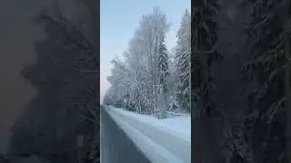 Едем-будем!😎