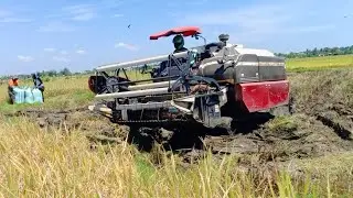 Mesin Panen Padi YANMAR YH 850#444