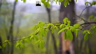 @isa_photoos Табасаранский р-н «Красоты Табасарана»