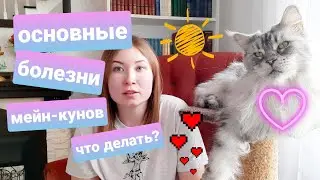 ЖИЗНЬ С МЕЙН-КУНАМИ / ОСНОВНЫЕ БОЛЕЗНИ МЕЙН-КУНОВ