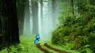 Un fotografo usando AfterEffects