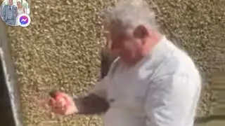 Greatest ever fish Terry Haley Terry Oatyway