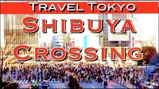 Shibuya Scramble Crossing Tokyo & HACHIKO the World's Most LOYAL Dog!