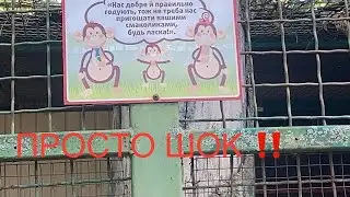ХАРЬКОВ//😱ШОК ОТ УВИДЕННОГО ‼️// НИЧЕГО СВЯТОГО НЕ ОСТАЛОСЬ ‼️// Экопарк Фельдмана