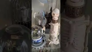 Check out my Noble Collection Discontinued shelves 