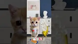 356845814 734183071815558 6640335321860293055 n  #shortvideo #shortsfeed #shorts