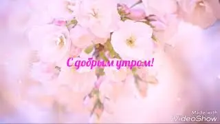 С добрым утром! Весеннего настроения.