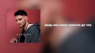 Pasha Leem - Чувства ( Премьера трека, 2024 )