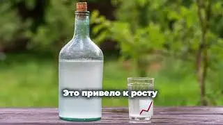 От медовухи до контрабанды: Захватывающие повороты алкогольной истории Таллинна