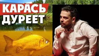 Караси Валеруна (и другие шалости) на турнире 