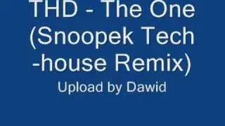 THD - The One (Snoopek Tech-house Remix)