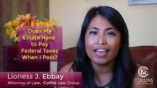 Federal Taxes to be Paid   v3