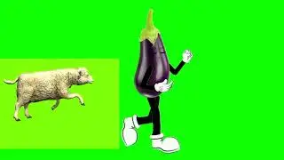 WOW!! RAM goat running back of eggplant on green screen cartoon characters no copyright