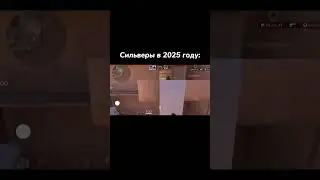 СИЛЬВЕРЫ В 2025👹 | Standoff 2❤️ 