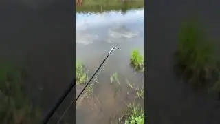 #рыбалканадонки