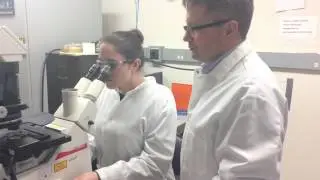 Paras N. Prasad, PhD - Prasad Team: Why choose Research