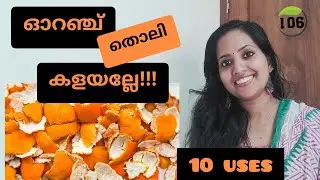 ഓറഞ്ച് തൊലിയുടെ ഉപയോഗങ്ങൾ || Orange Peel 10 Uses